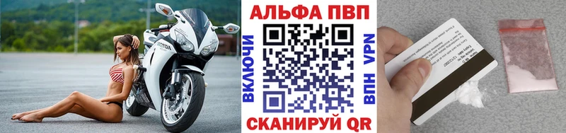 APVP СК КРИС  Стародуб 