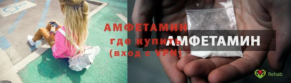 ешки Алексин