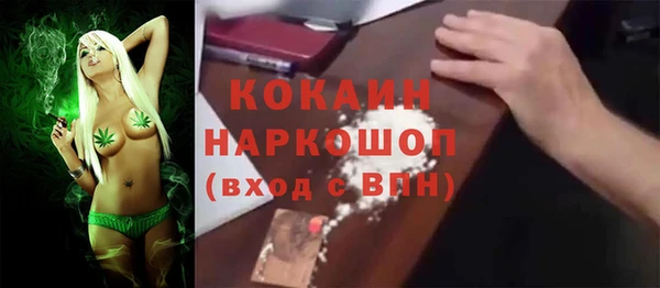 спайс Пересвет