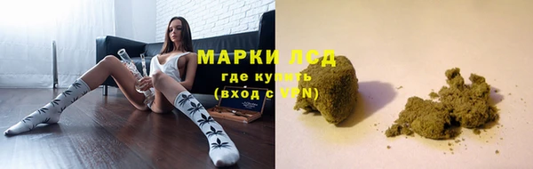 ешки Алексин