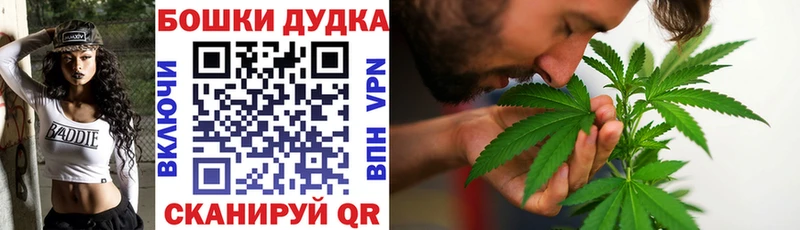 Конопля марихуана  наркотики  Стародуб 